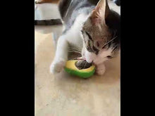 Load and play video in Gallery viewer, Avocado Catnip Teeth Cleaning Toy -Selected Item
